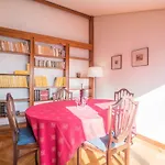 Amendoeira's Terrace With River View *